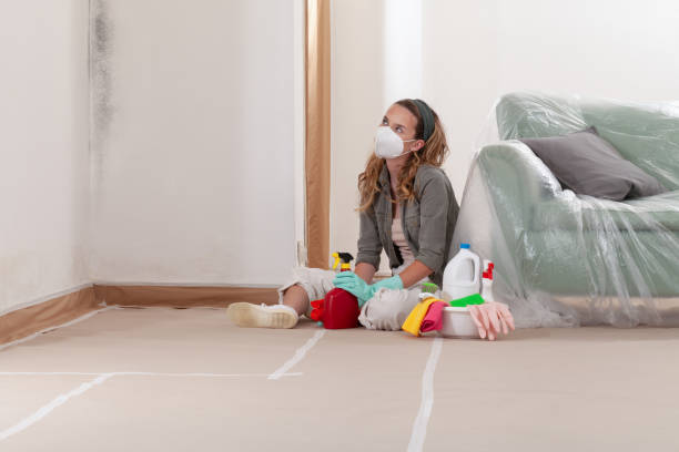 Reliable Black Mold Removal contractor in Washington Crossing, PA by WQB Mold Removal